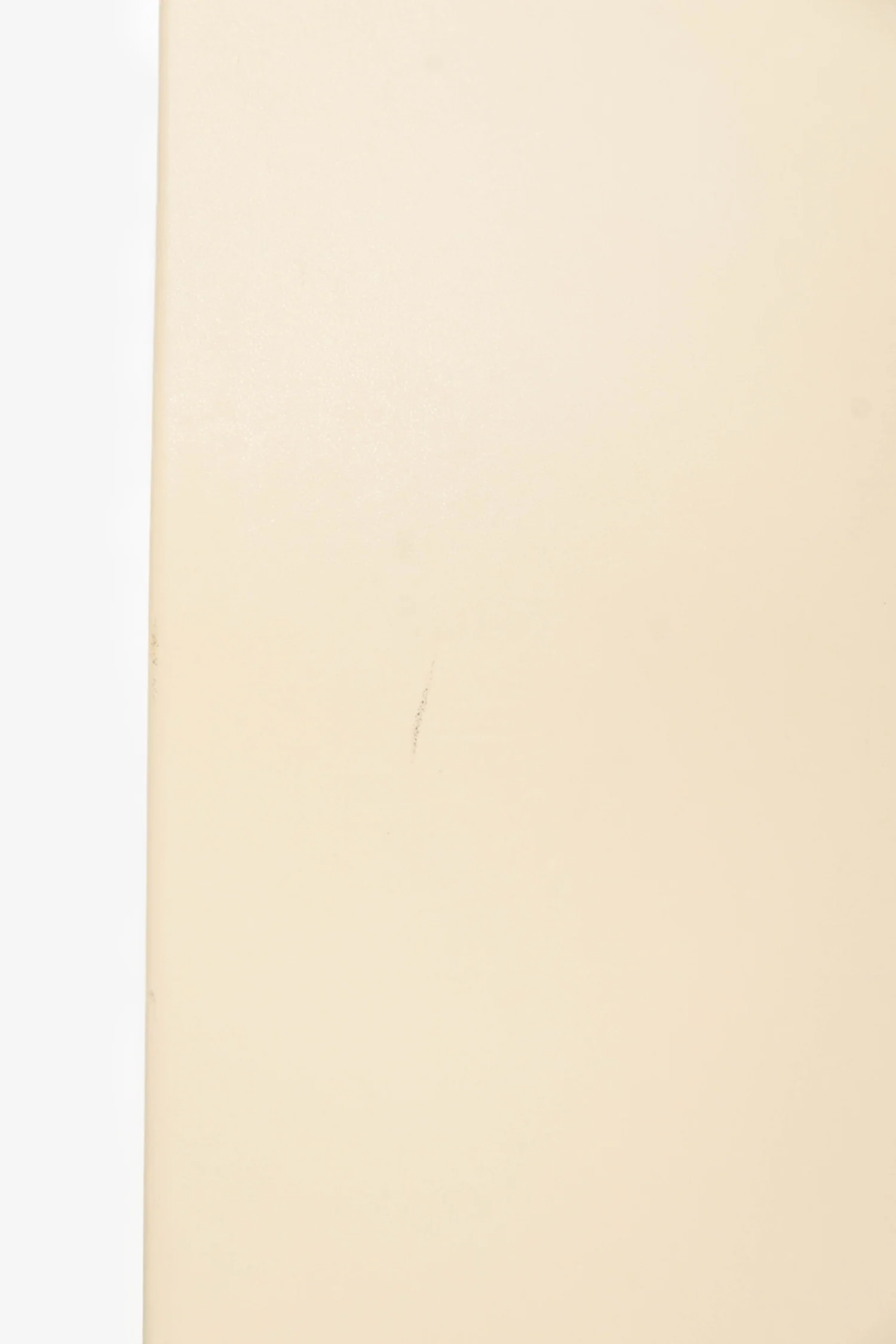 Stella McCartney Cream Leather Flat Tote